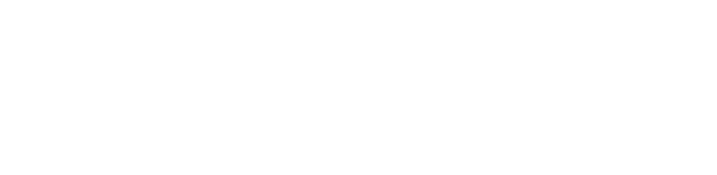 Speedscale