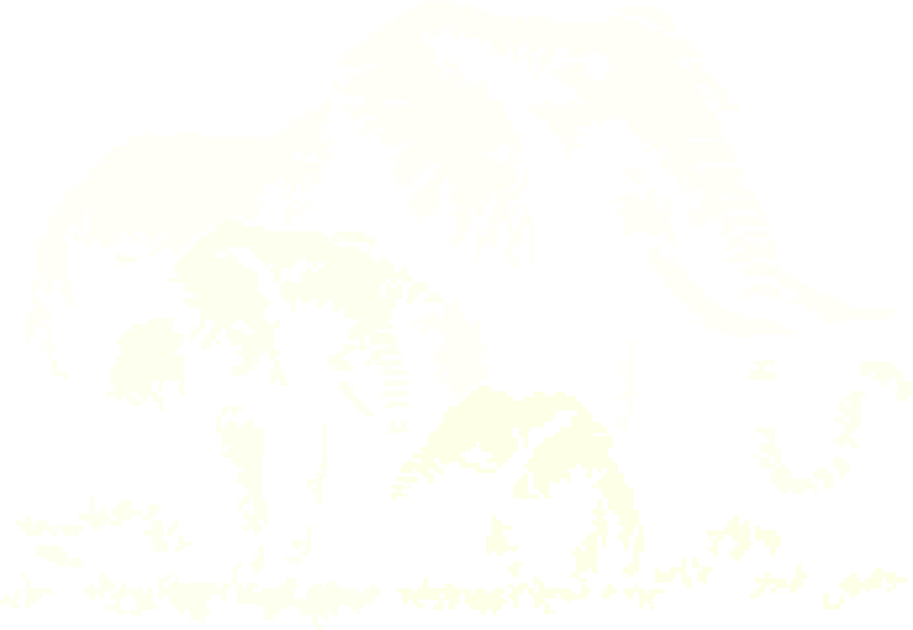 comparation-elephant